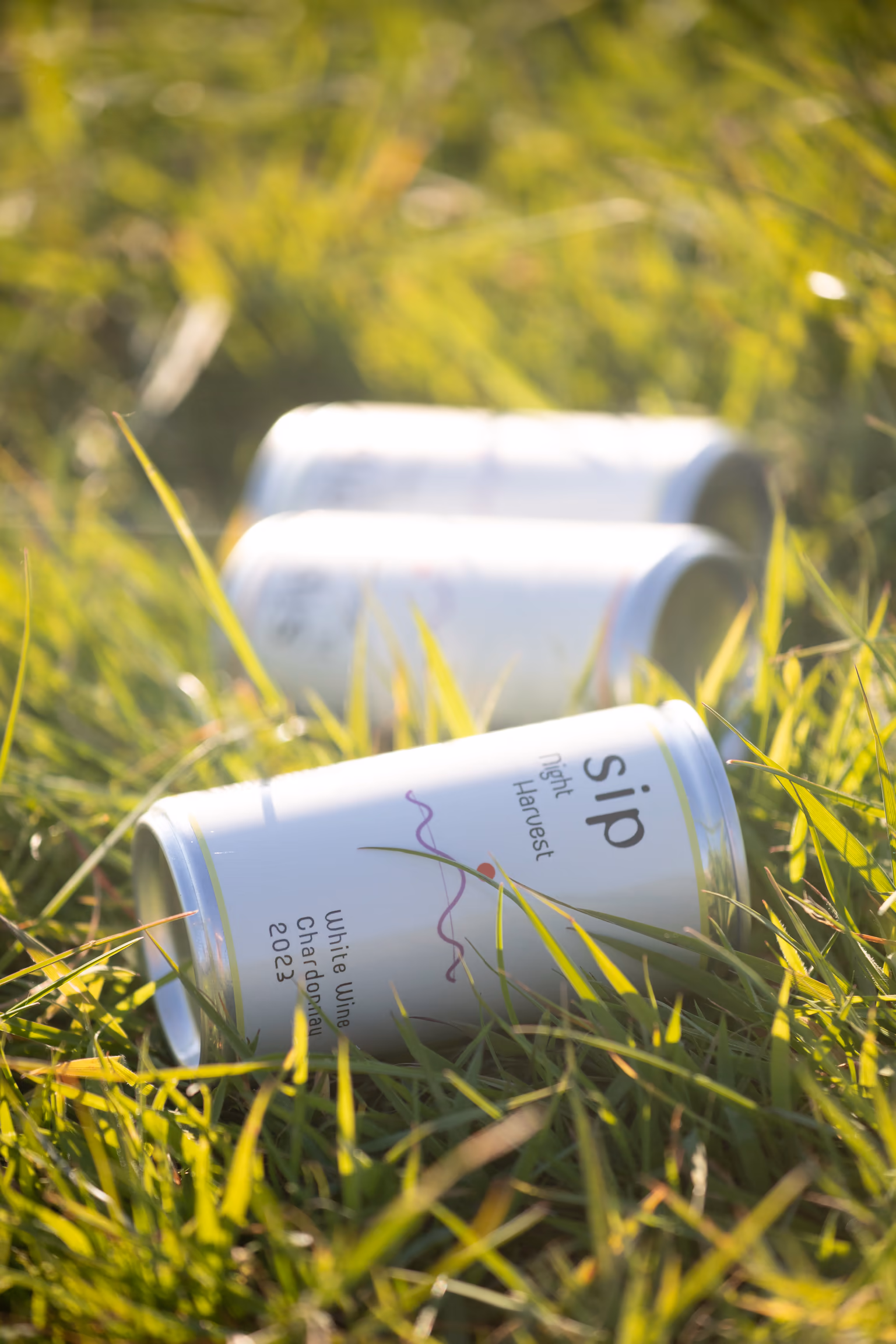 SIP Night Harvest cans laid out in summer grass